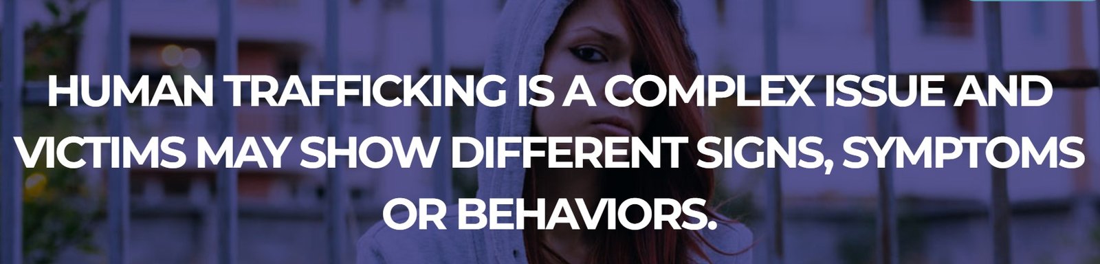 End Human Trafficking: Volunteer